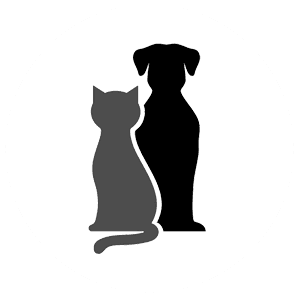 Un système d'alarme adapté aux animaux domestiques